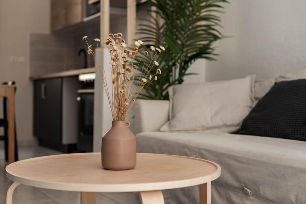 The Family Apartment *